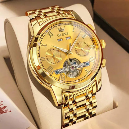 OLEVS 6607 Men's Automatic Mechanical Watch – Stainless Steel, Waterproof, Luminous Dial