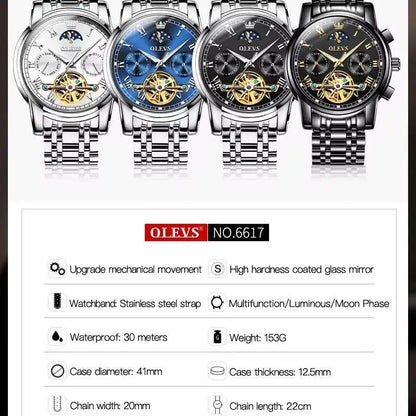 OLEVS 6617 Automatic Skeleton Tourbillon Mechanical Self Winding Original Watch